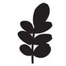 Moringa North