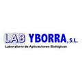 Yborra