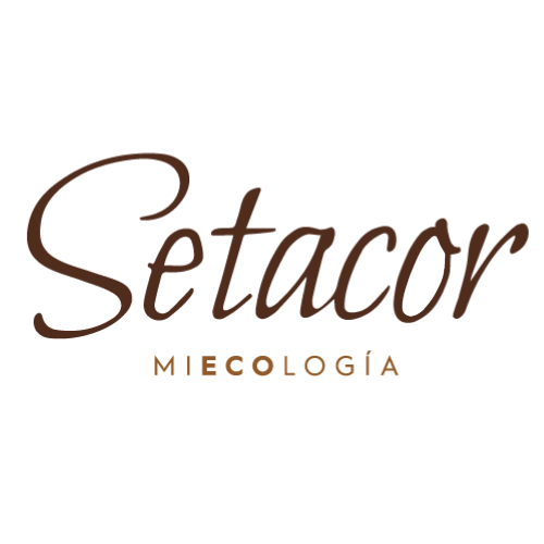 Setacor