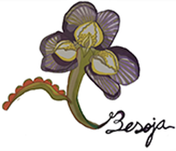 Besoja Vegan Products