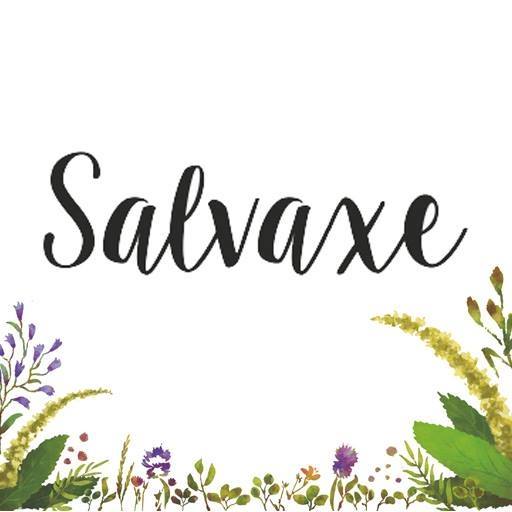 Salvaxe miel ecológica