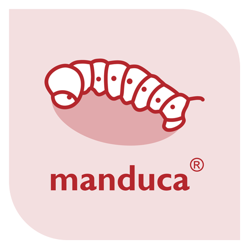 Manduca