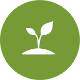 PlantaBo