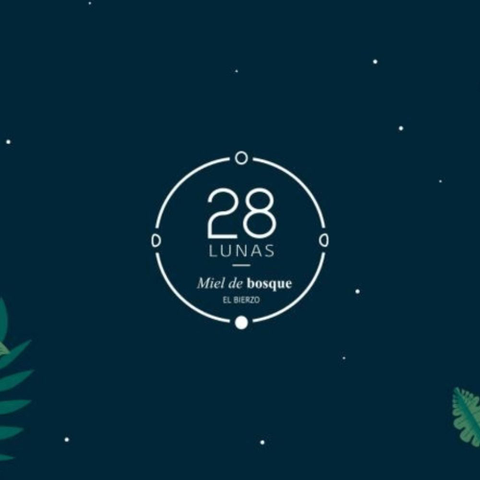 28 Lunas