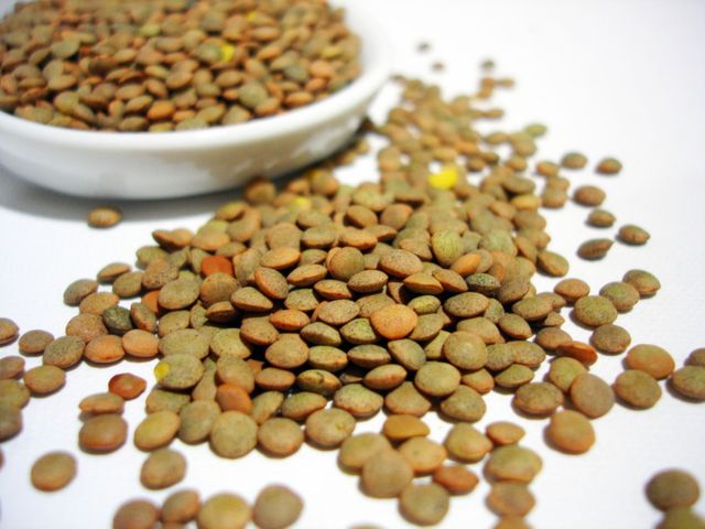 Como plantar lentilhas na nossa horta