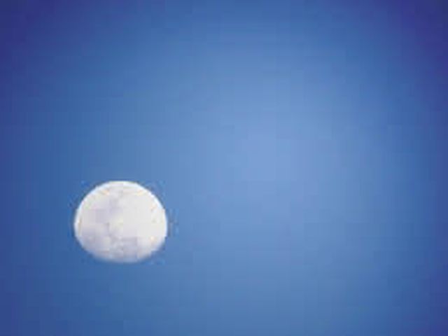 Cultivar de acuerdo con la Luna
