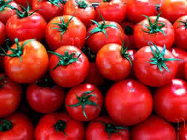 ¿Por qué cambió el sabor de los tomates? 