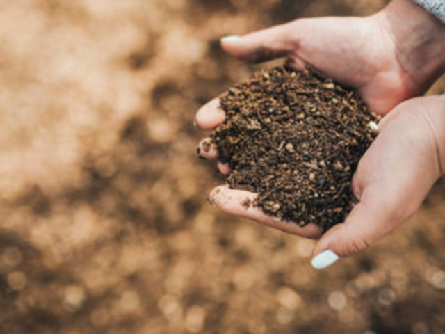 Cómo abonar nuestras plantas y cultivos