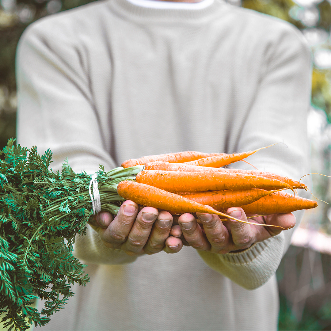 Zanahorias: cultivo sabroso y saludable