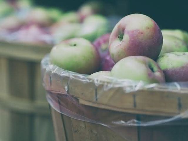 3 Julio: Día Internacional sin bolsas de plástico