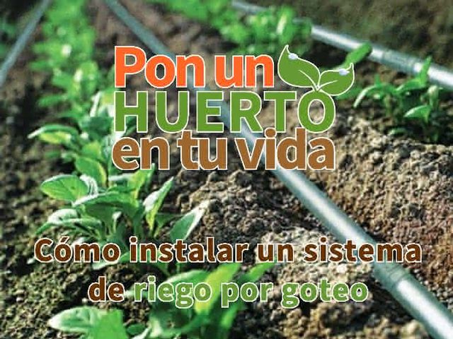 Cómo instalar un sistema de riego por goteo