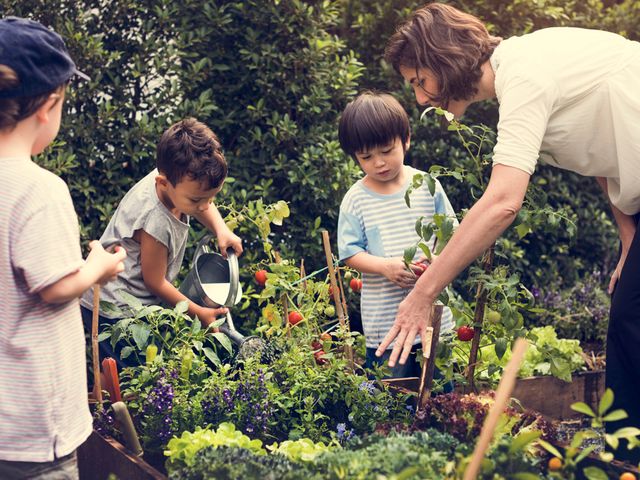El huerto escolar como herramienta educativa