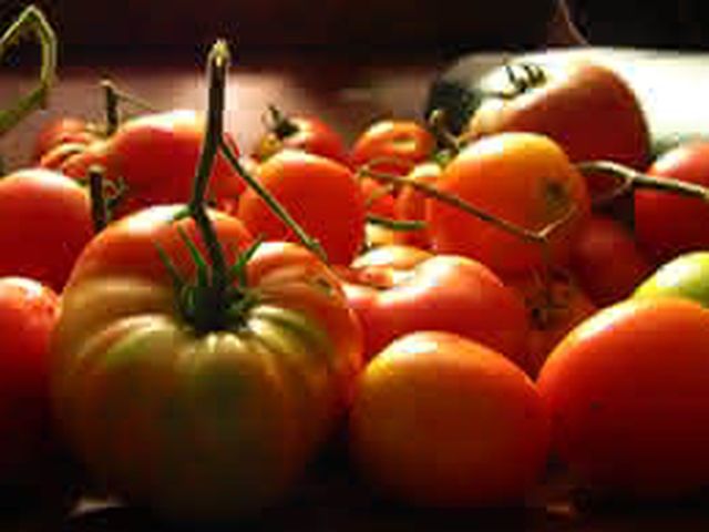 La poda de la tomatera