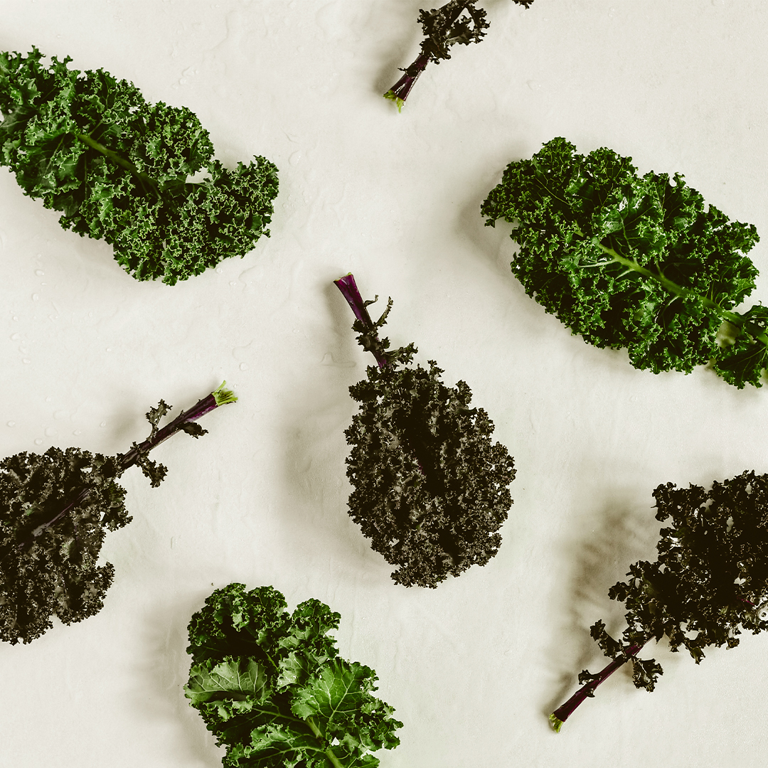 Kale o Col rizada: Propiedades, beneficios y recetas | Planeta Huerto