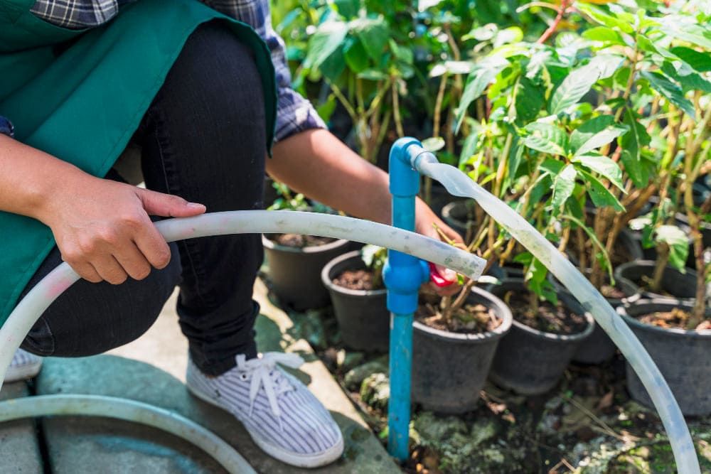 Sistemas de captación y almacenamiento de agua de lluvia