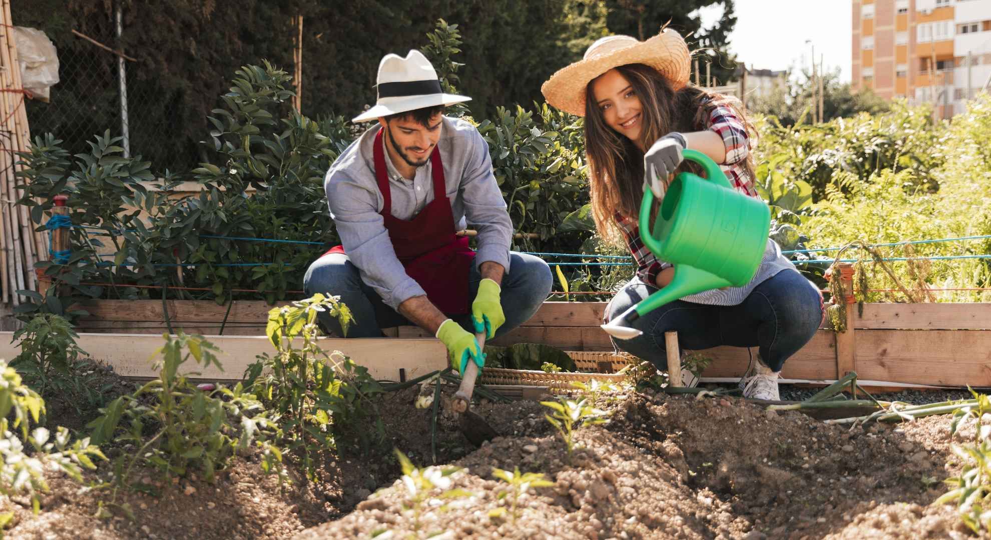 Guía completa para empezar un huerto urbano en casa