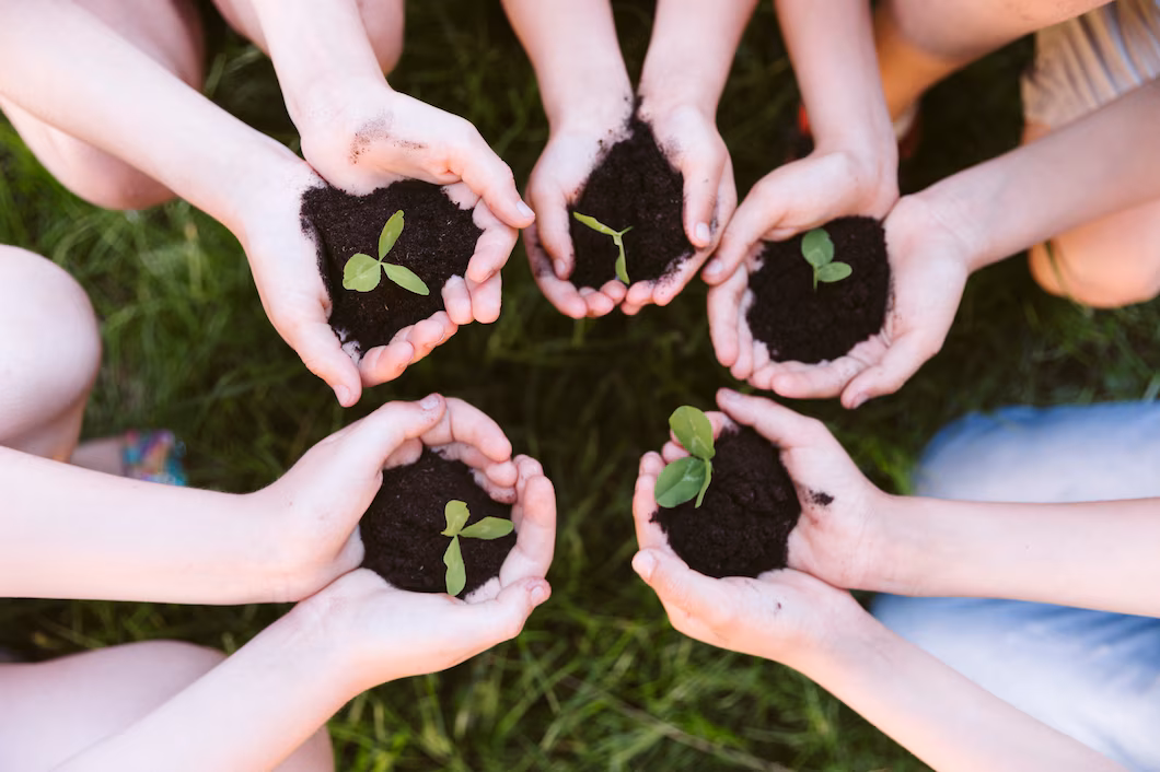 Beneficios de la permacultura y cómo aplicarla en tu jardín